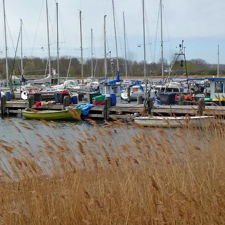 Holz-ferienhaus Mechelsdorf, Nahe Ostseebad Kuehlungsborn * Mechelsdorf